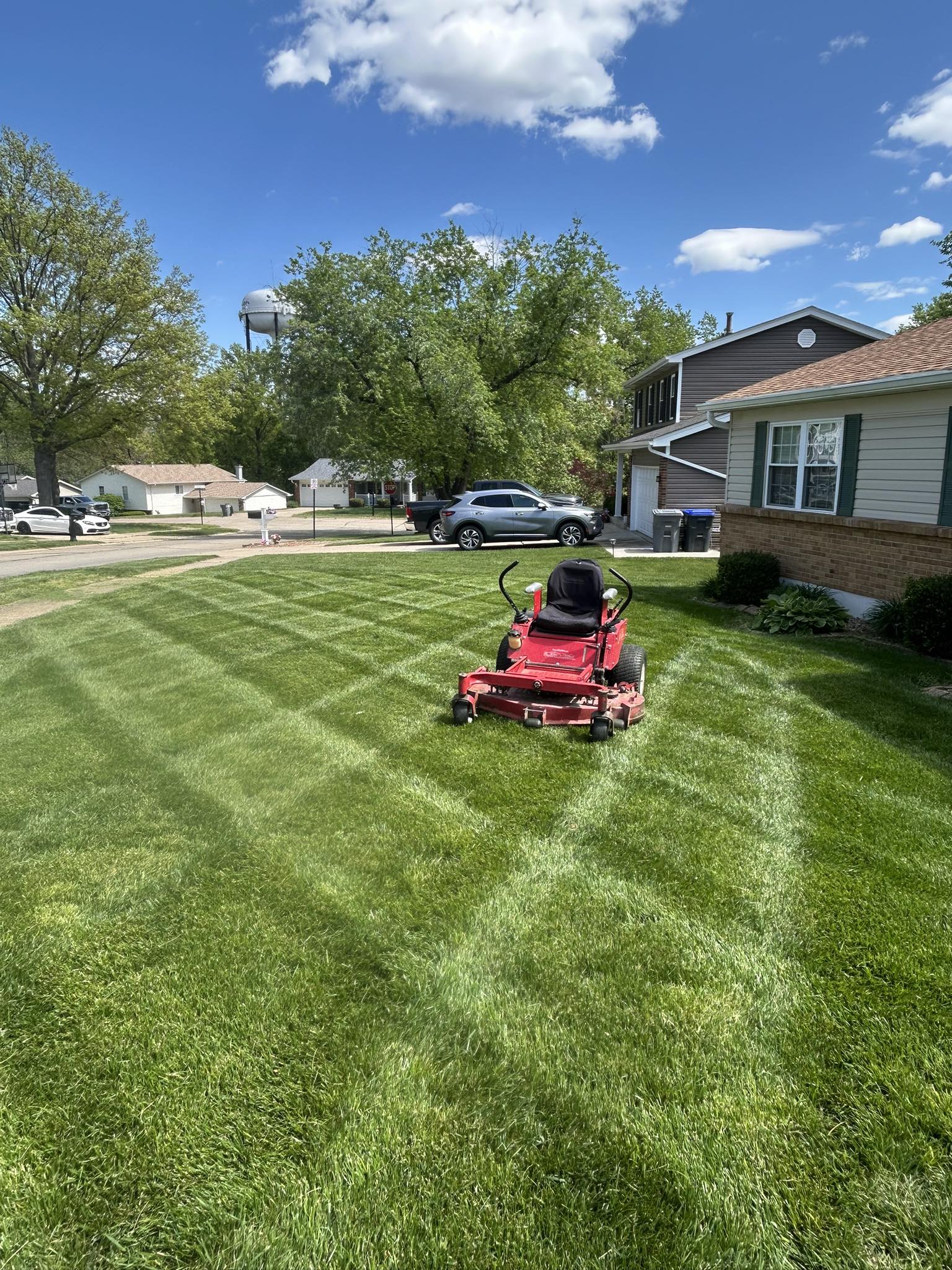 Lawn being cut at correct height on a Garson residential property in summer