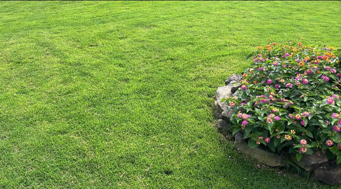 Lawn care maintenance plan Sudbury Ontario homeowner following instructions