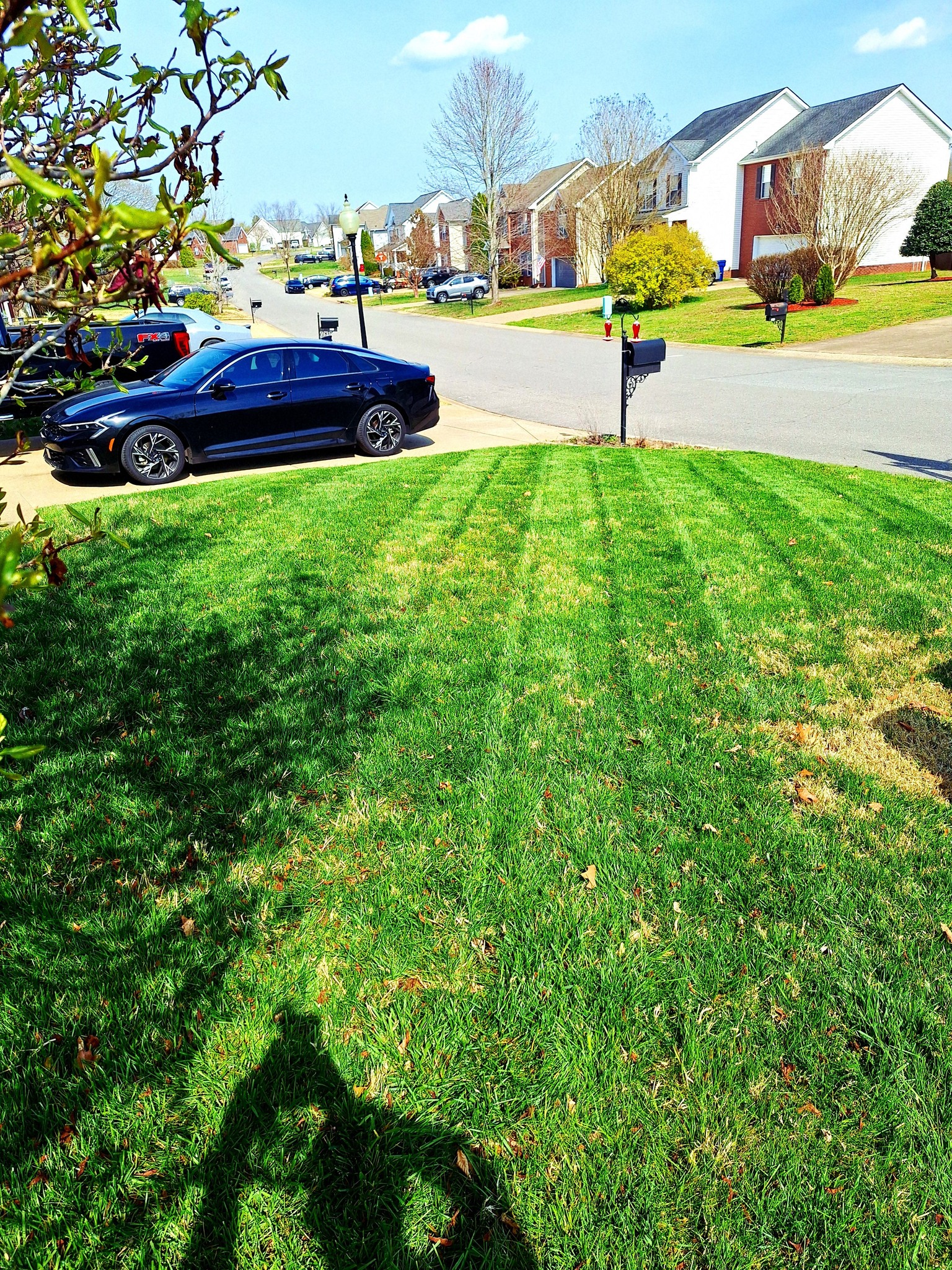 Lawn care notes and property assessment being done before grass cutting in Sudbury