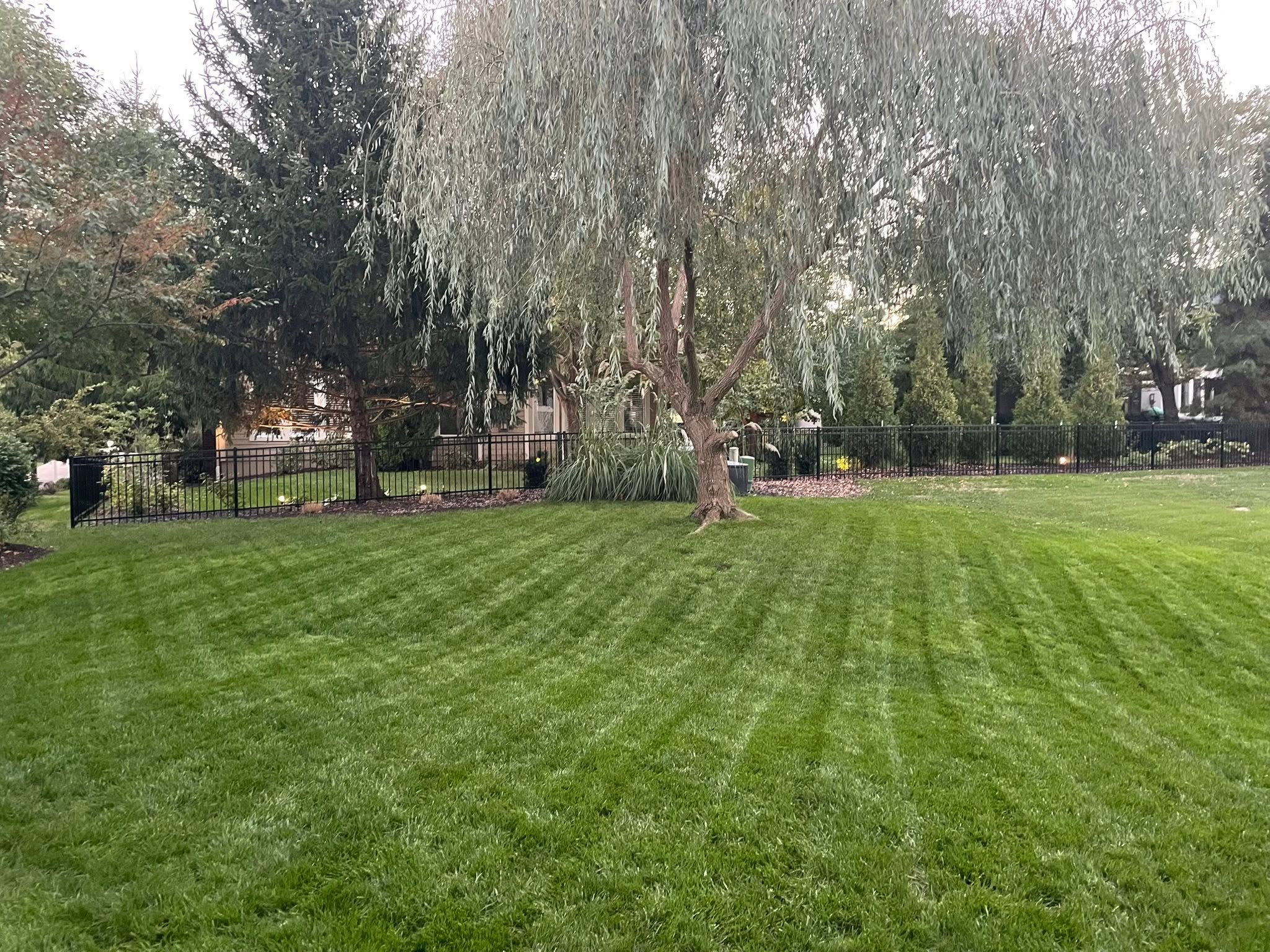 Lawn care professional explaining lawn problems honestly to homeowner in Sudbury Ontario