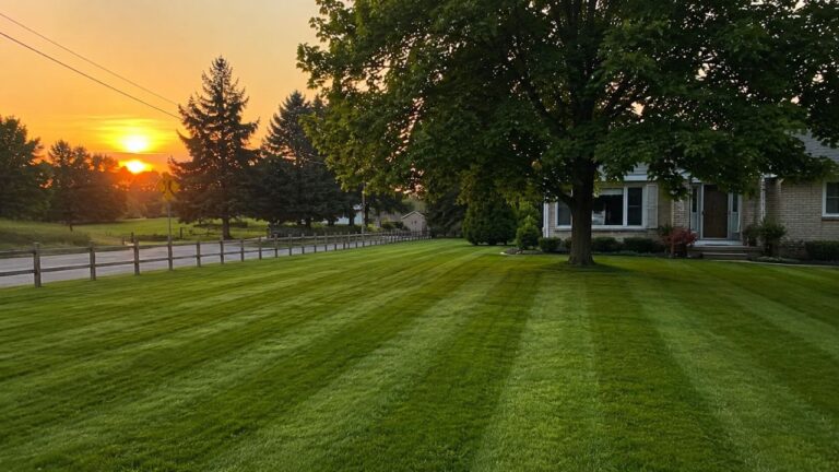 I Drive Past My Old Customers’ Properties Sometimes — Here’s What I See