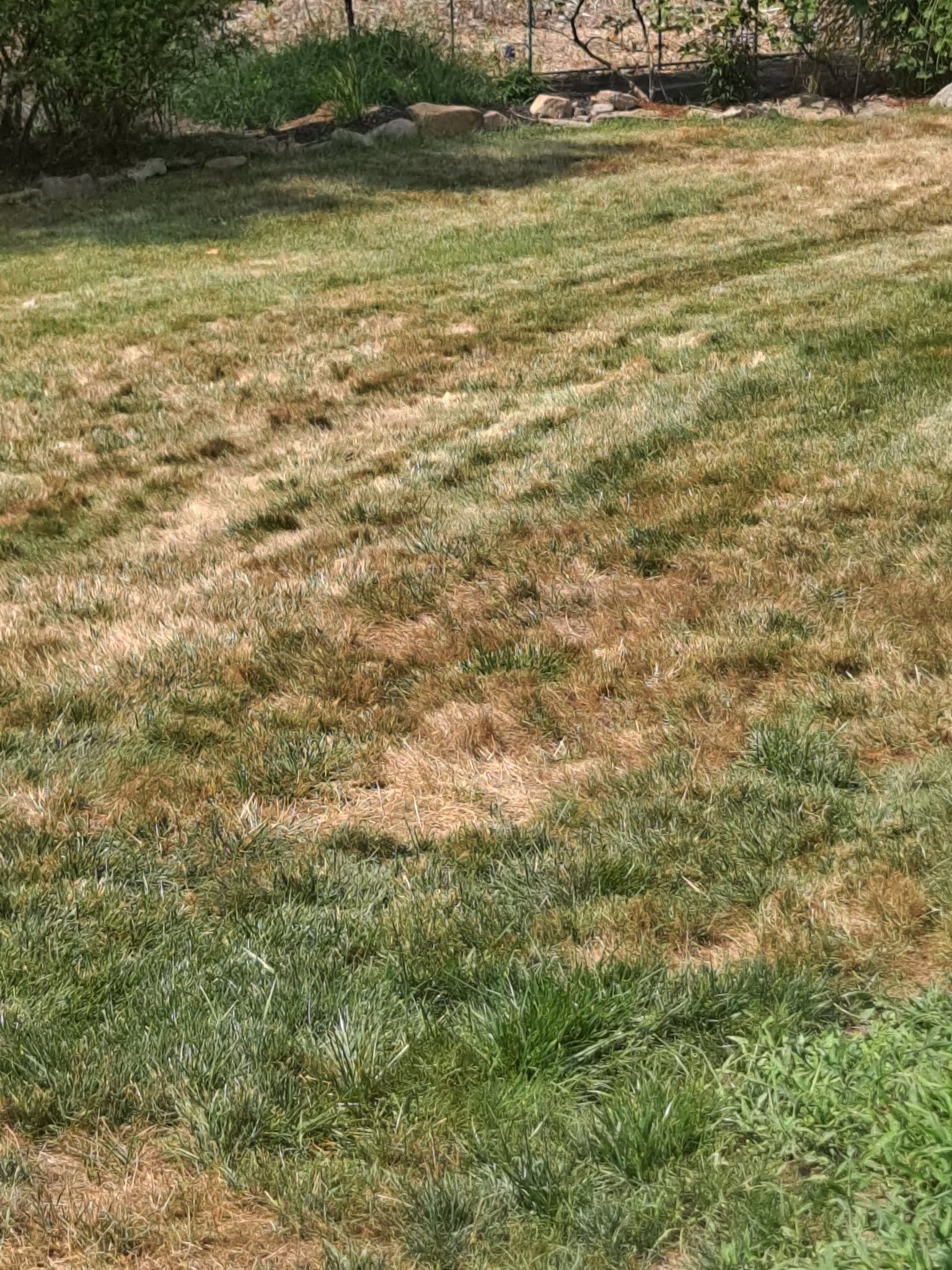 Lawn care tasks being completed on Sudbury property during June