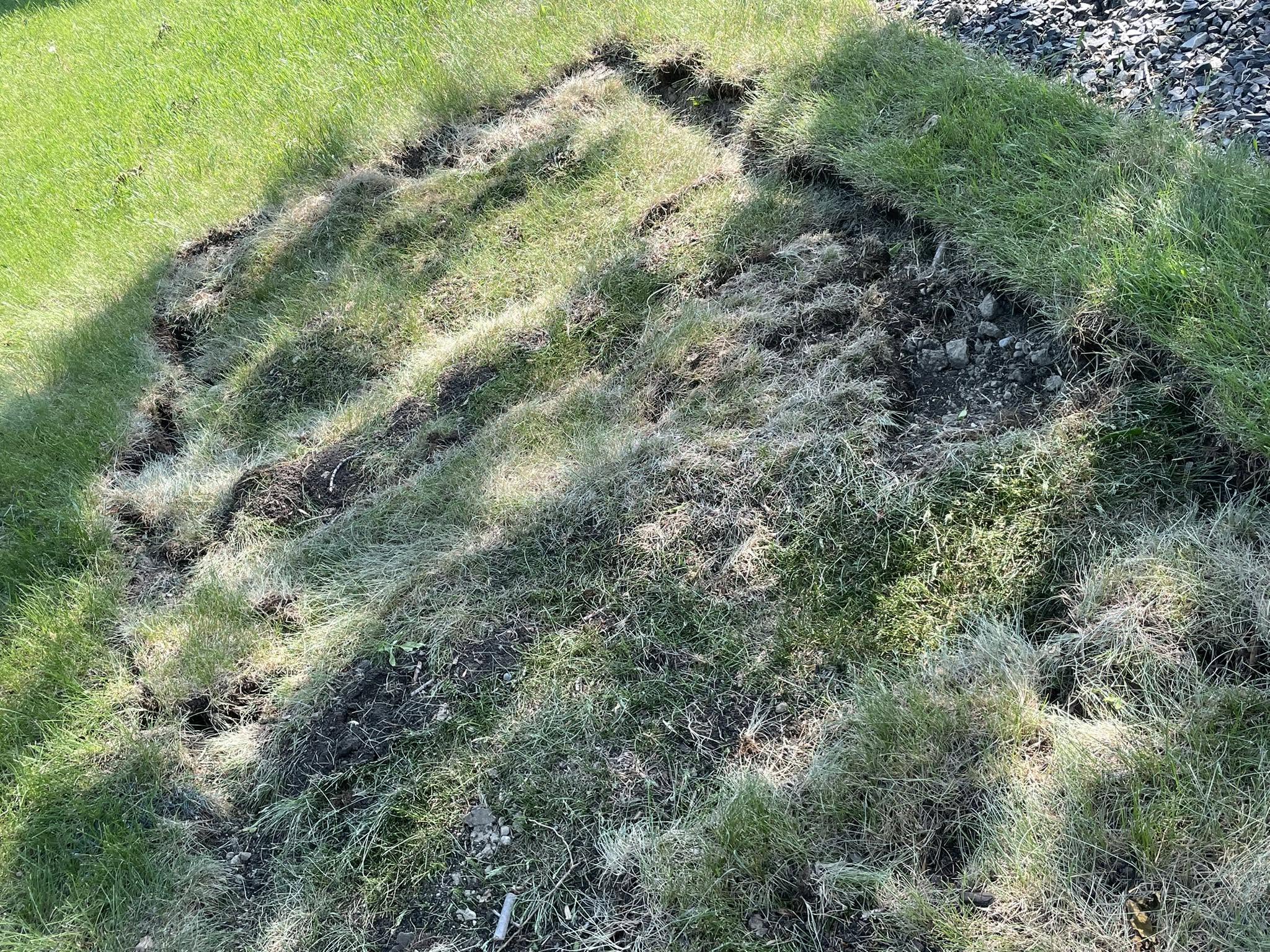 Lawn damage from pool backwash discharge in Greater Sudbury Ontario