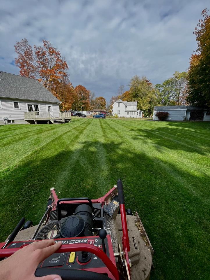Lawn in summer heat in Sudbury Ontario being maintained at correct height