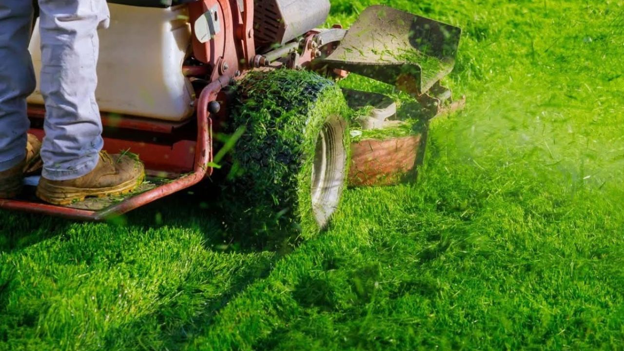 Lawn mower cutting grass on a residential property in Greater Sudbury Ontario