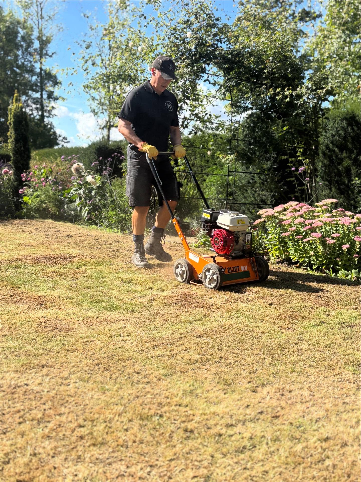 Lawn mower starting up on a Sudbury property in mid-morning sunlight