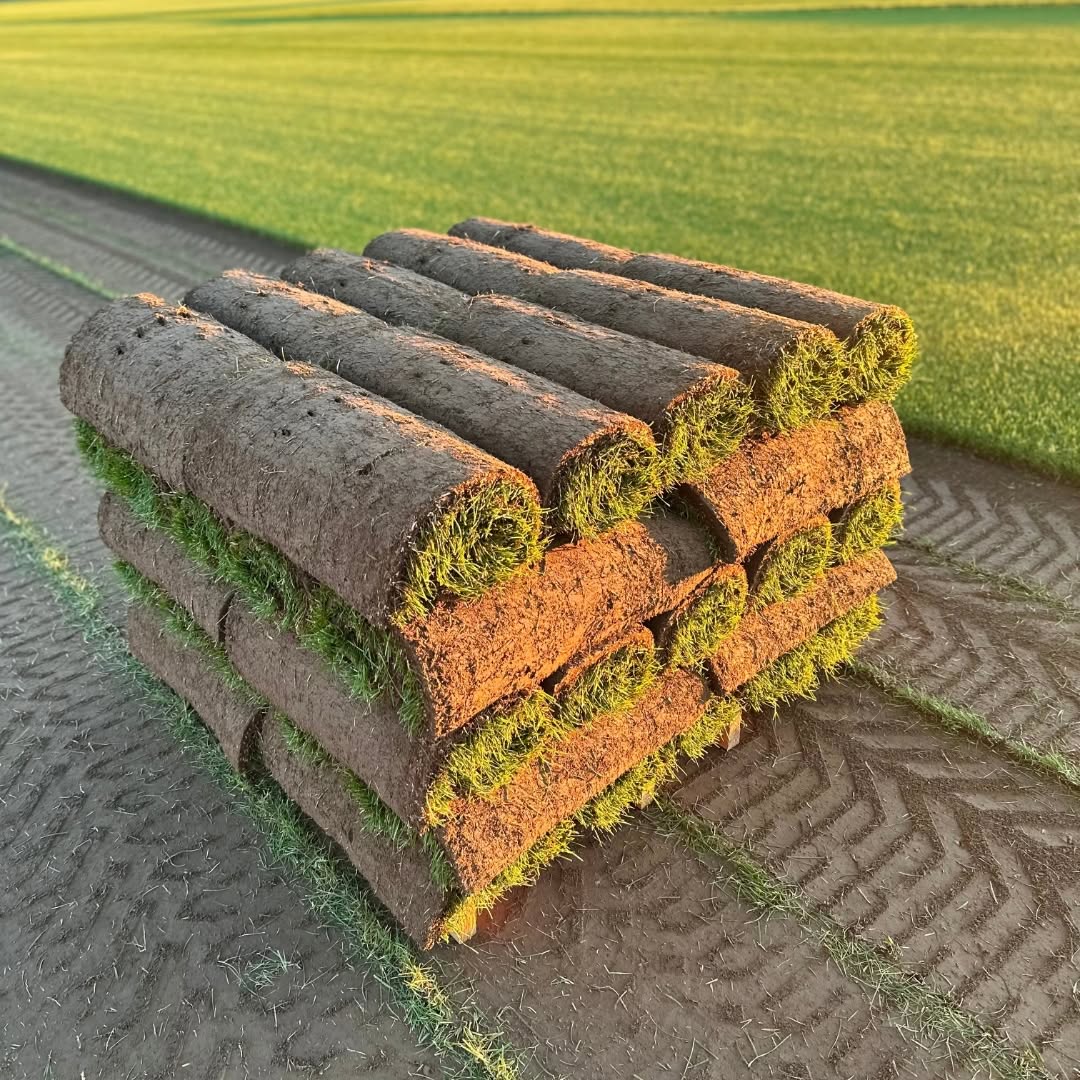 Lawn professional calling sod supplier Sudbury Ontario unusual soil condition consultation