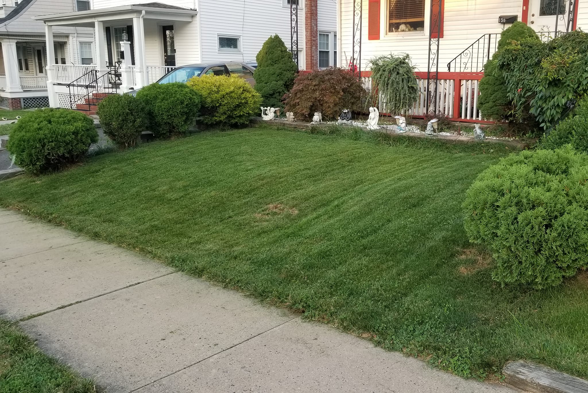 Lawn recovering and greening up after summer dormancy in Sudbury Ontario