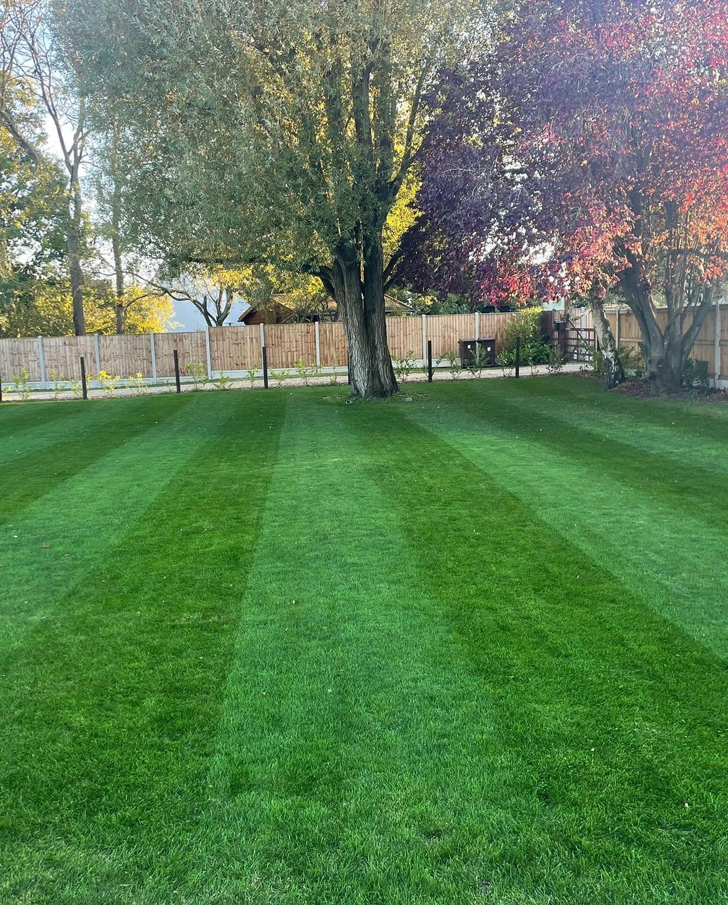 Lawn recovery after snow mould Sudbury Ontario spring raking aeration overseeding-