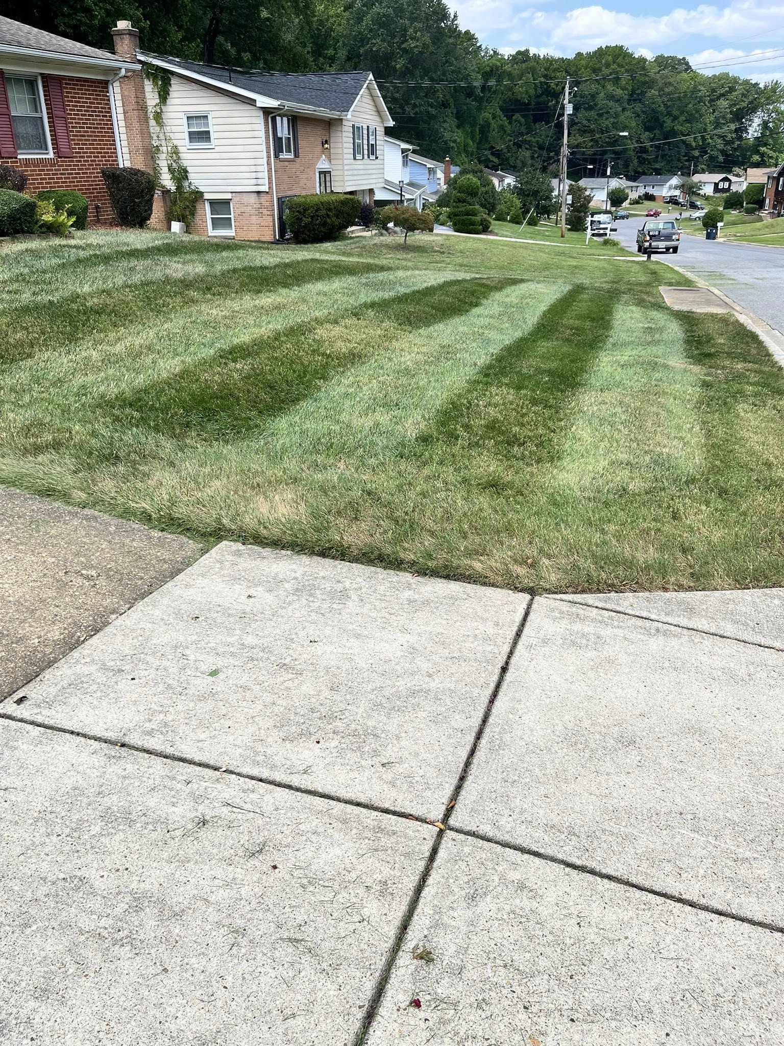 Lawn recovery in progress on Sudbury residential property spring