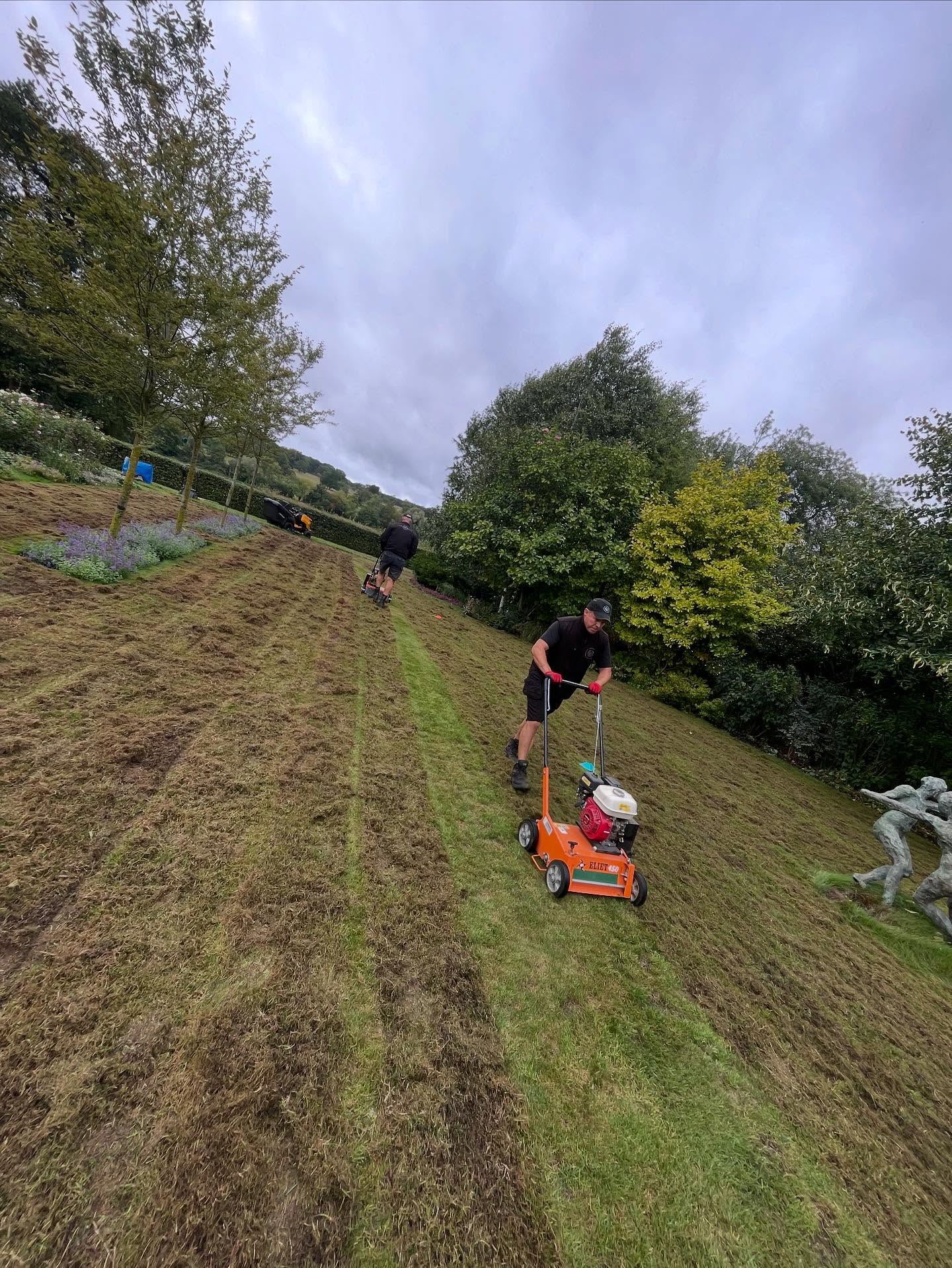Lawn renovation in progress on a Greater Sudbury Ontario residential property — aeration and overseeding by Cutting Edge Lawn and Landscaping 