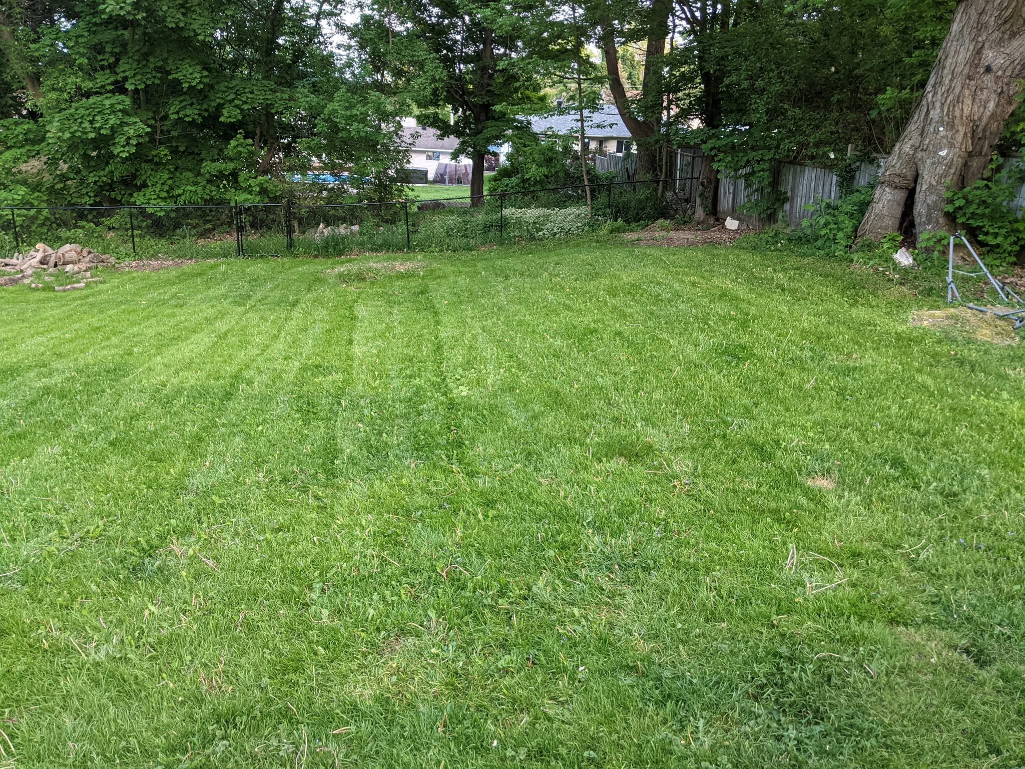 Lawn restoration recovery Chelmsford Sudbury Ontario second visit full restoration