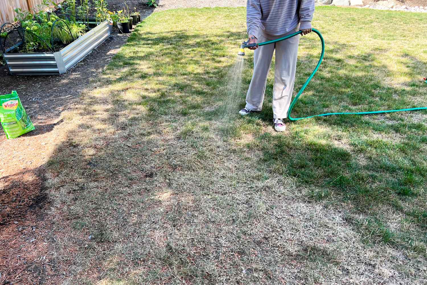 Lawn section with healthy grass next to bare damaged area in Sudbury