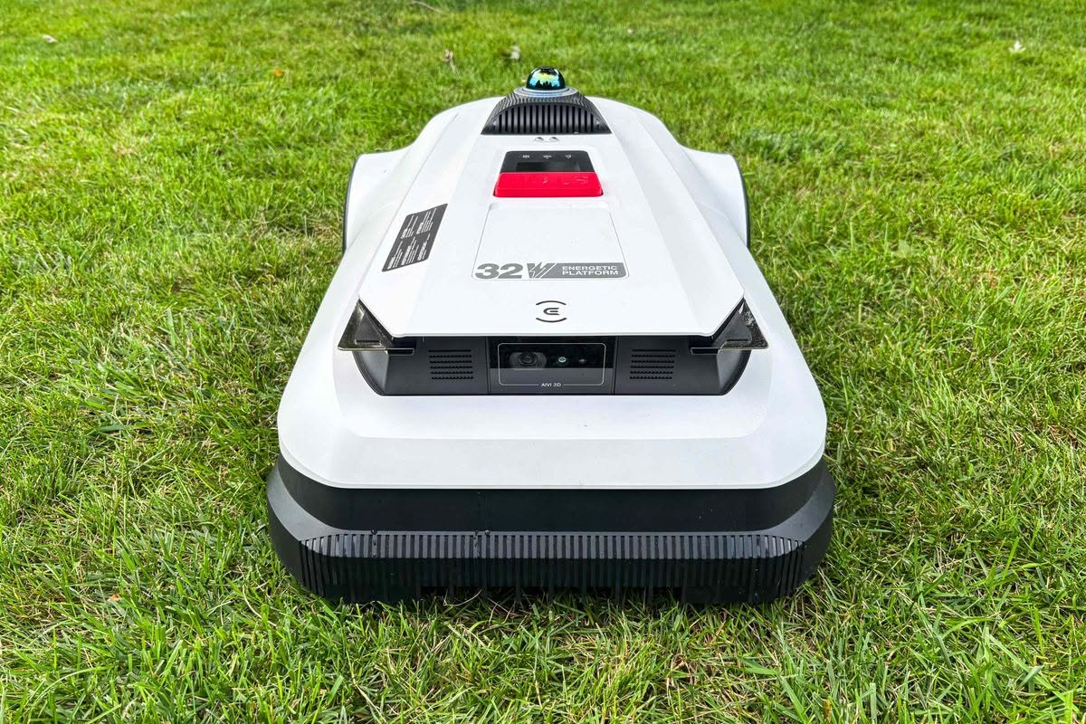 Lawn showing effects of frequent low robotic mowing on a Sudbury Ontario residential property
