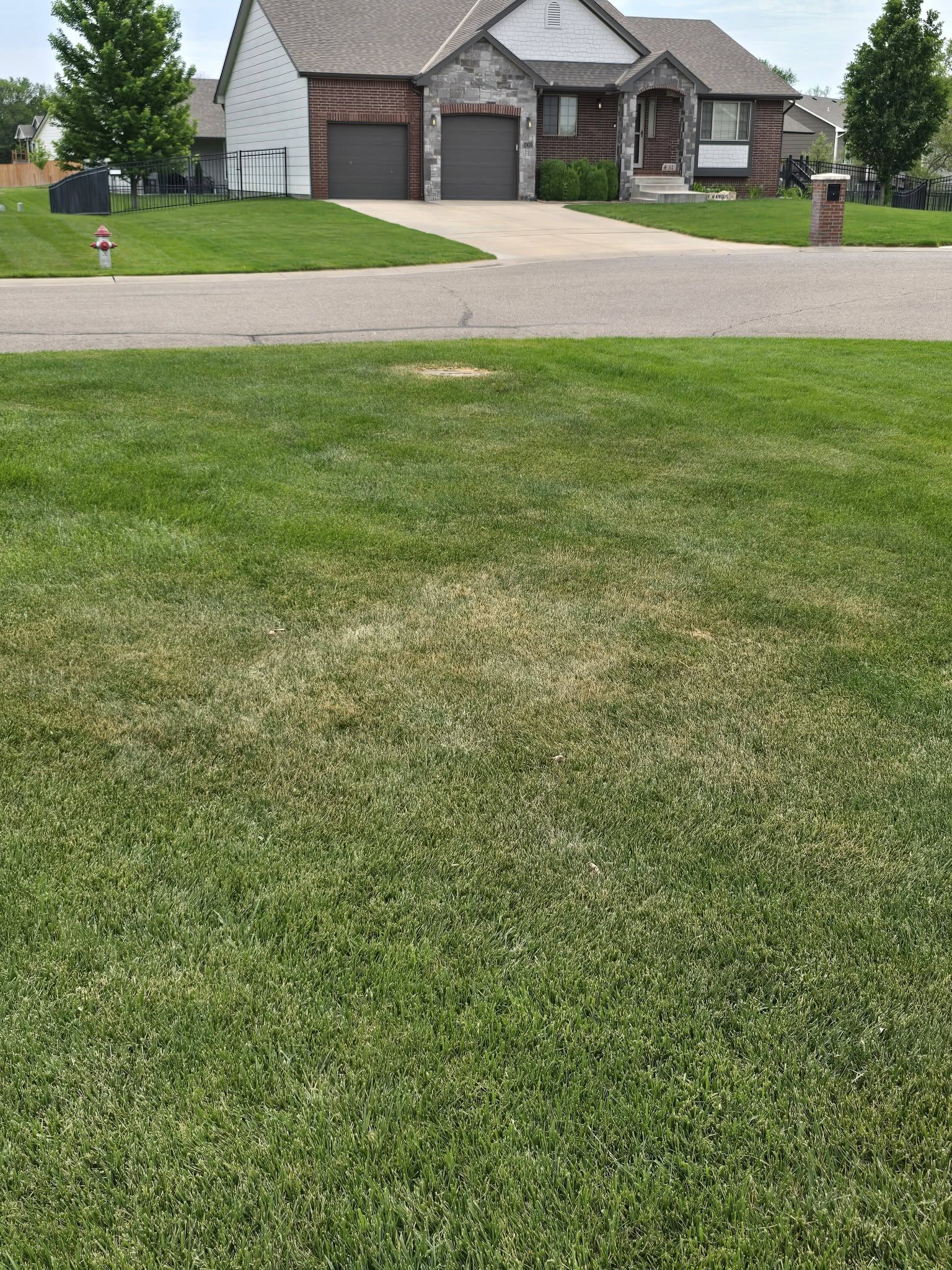 Lawn showing transition damage from mowing height change in Sudbury