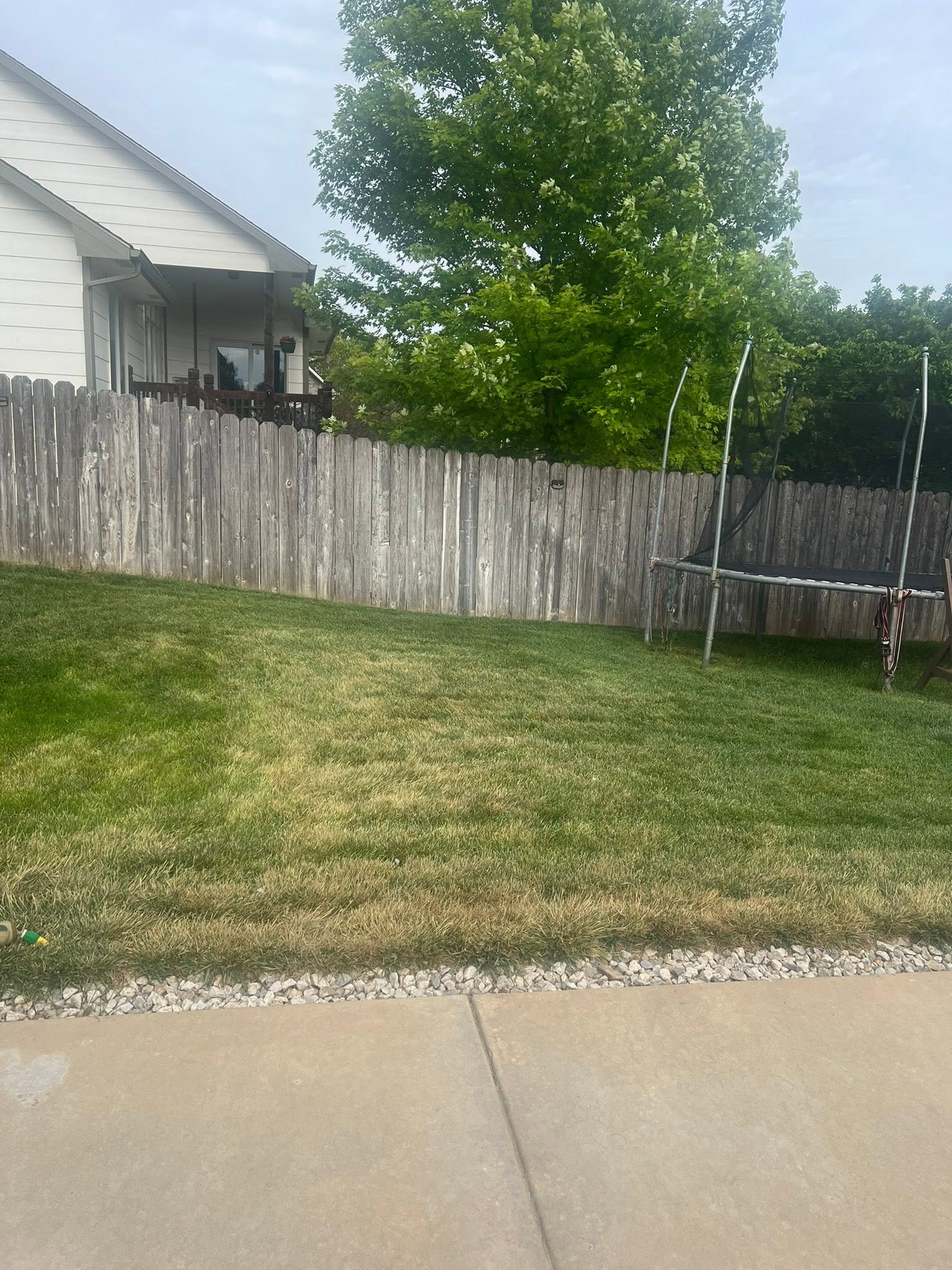Lawn stress from incorrect watering visible on Sudbury property July