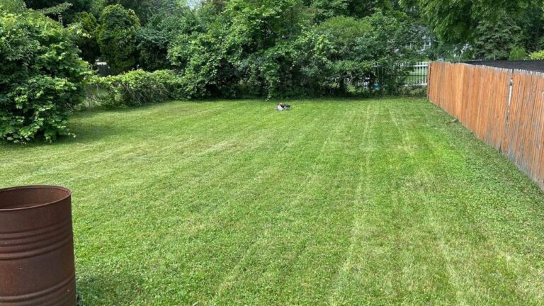 The Sudbury Lawn Mistake That Shows Up Two Years Later, Not Right Away