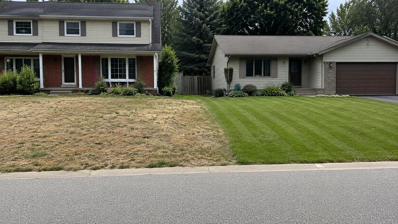 two neighbouring residential lawns side by side contrast Greater Sudbury Ontario one healthy one struggling