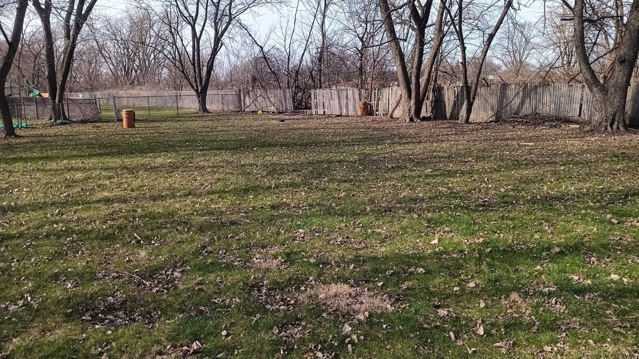 Matted leaves and debris on neglected Sudbury lawn before winter