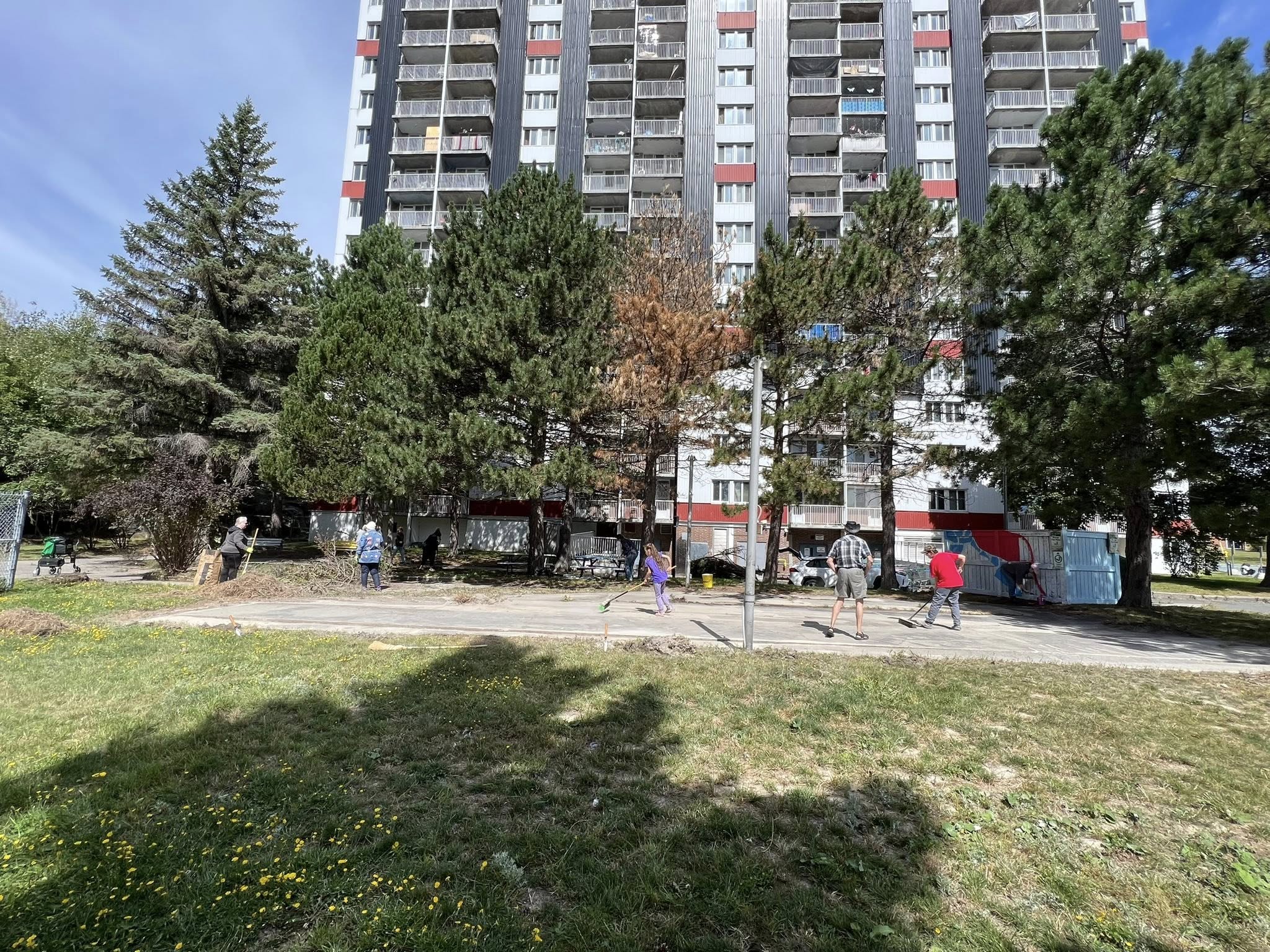 Modest residential lawn in Greater Sudbury Ontario