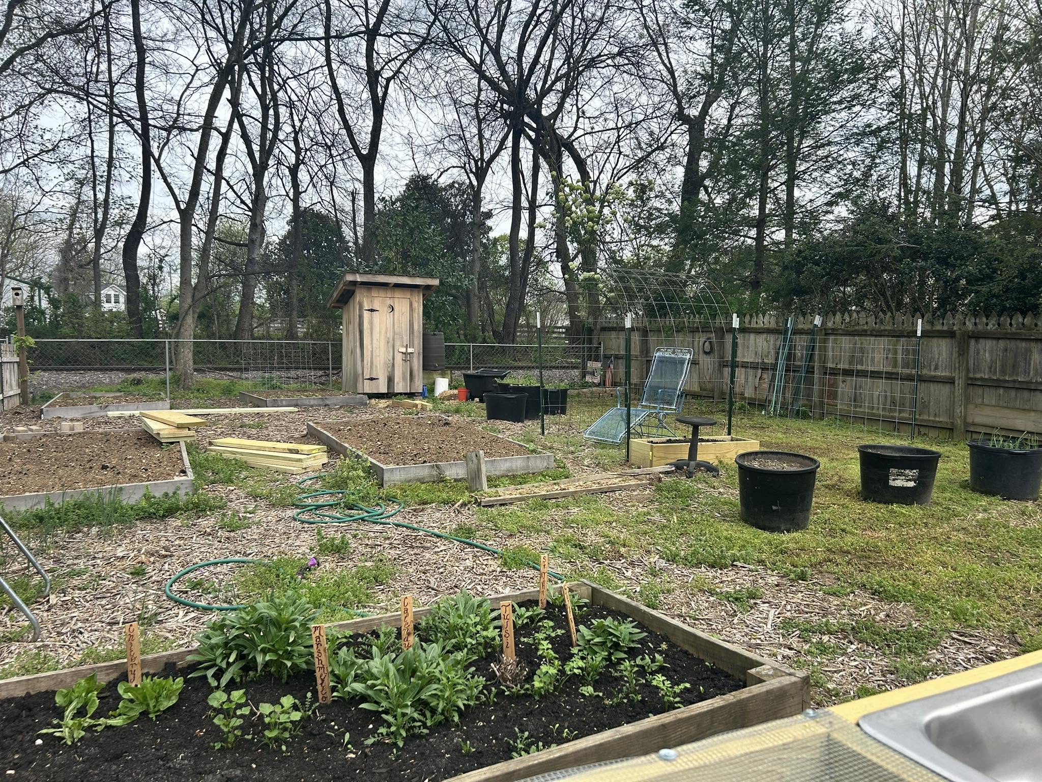 Mulched garden bed alternative replacing struggling lawn under mature tree in Sudbury Ontario yard