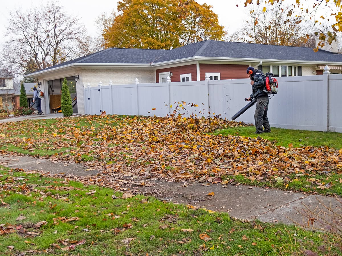 Multiple lawn care company signs on a Sudbury Ontario street