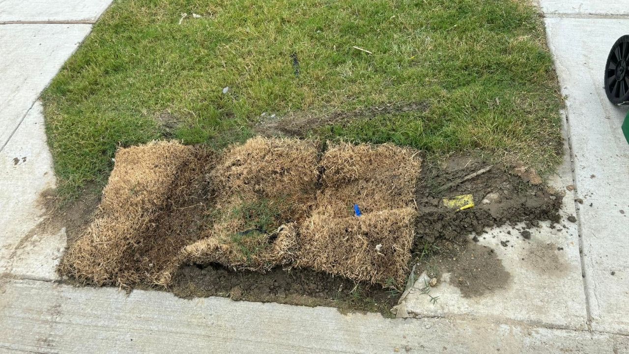 Neglected lawn edge along driveway on a Sudbury Ontario residential property showing damage