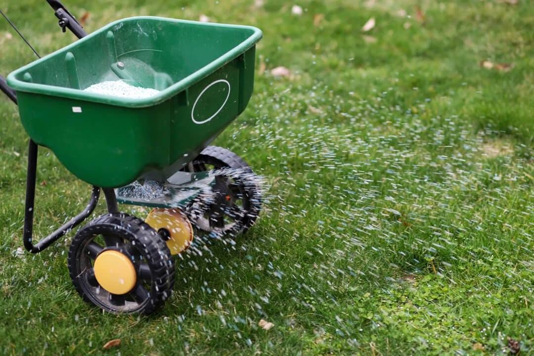 New Sudbury homeowner overseeding and fertilizing lawn in days 60 to 90 of 90 day lawn plan