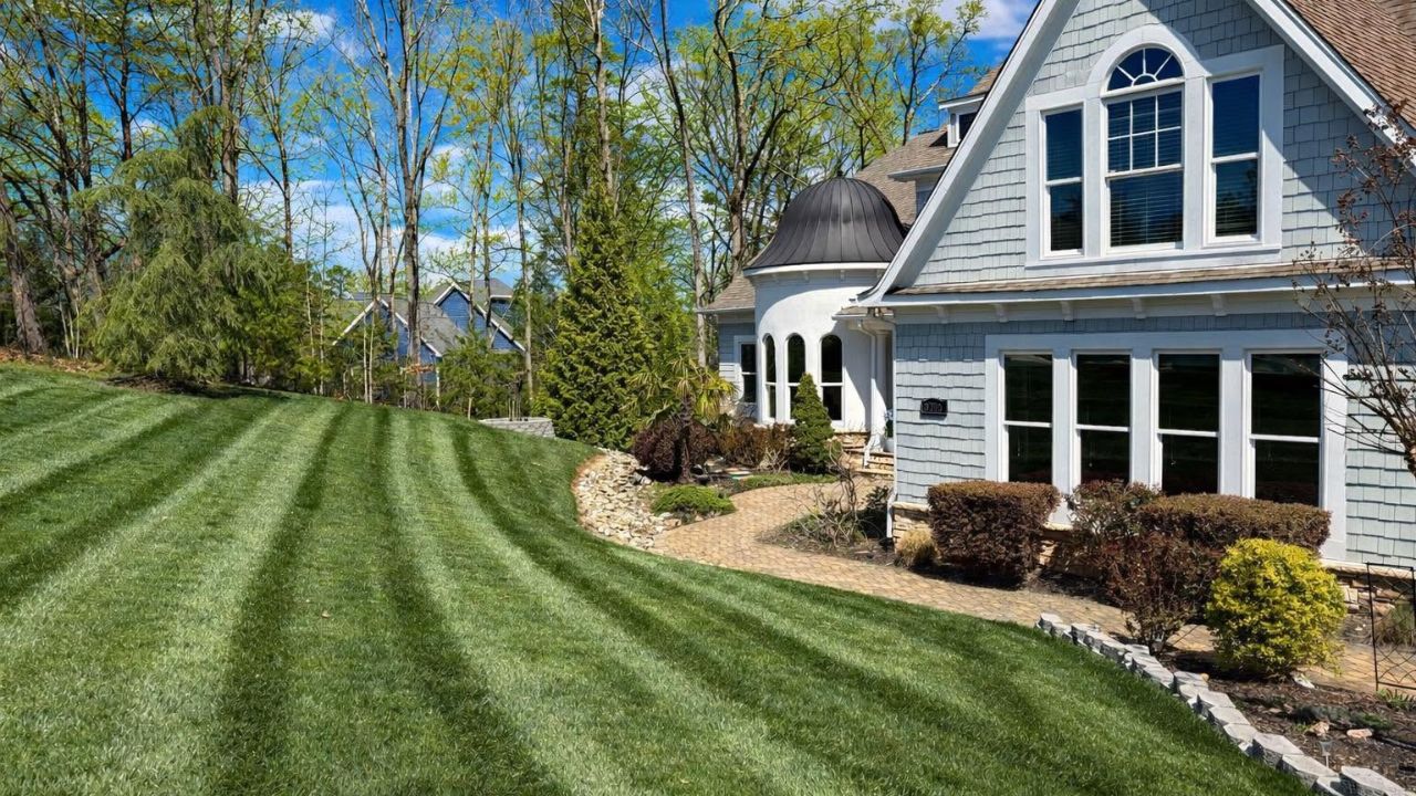 Sudbury Ontario lawn showing results after new homeowner completed 90 day lawn care improvement plan