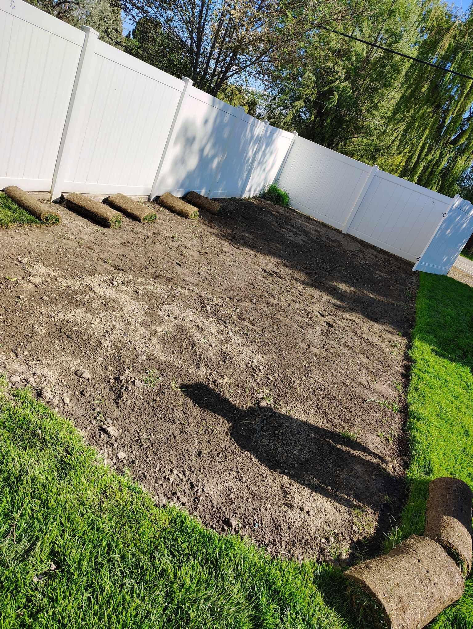 New sod laid in September on Sudbury residential lawn fall