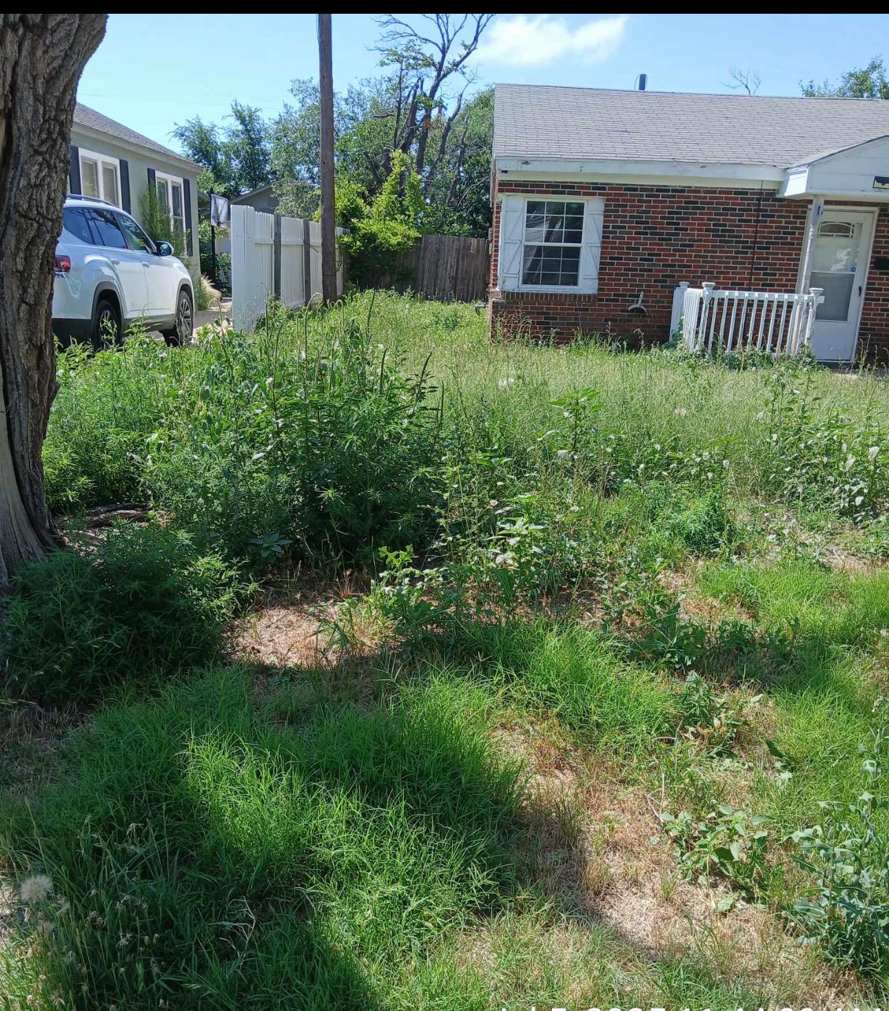 Overgrown neglected backyard lawn in Val Caron Sudbury before cleanup