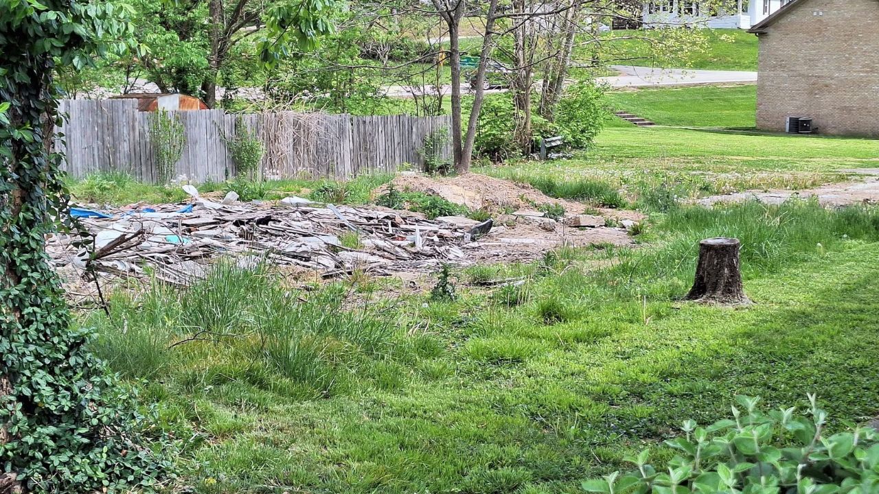 Overgrown neglected property lawn in Sudbury Ontario before professional assessment