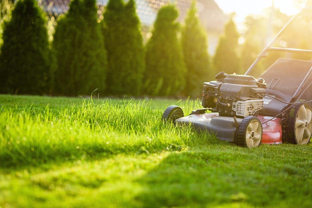 Premium professional lawn mowing service delivering high quality results at Sudbury Ontario property