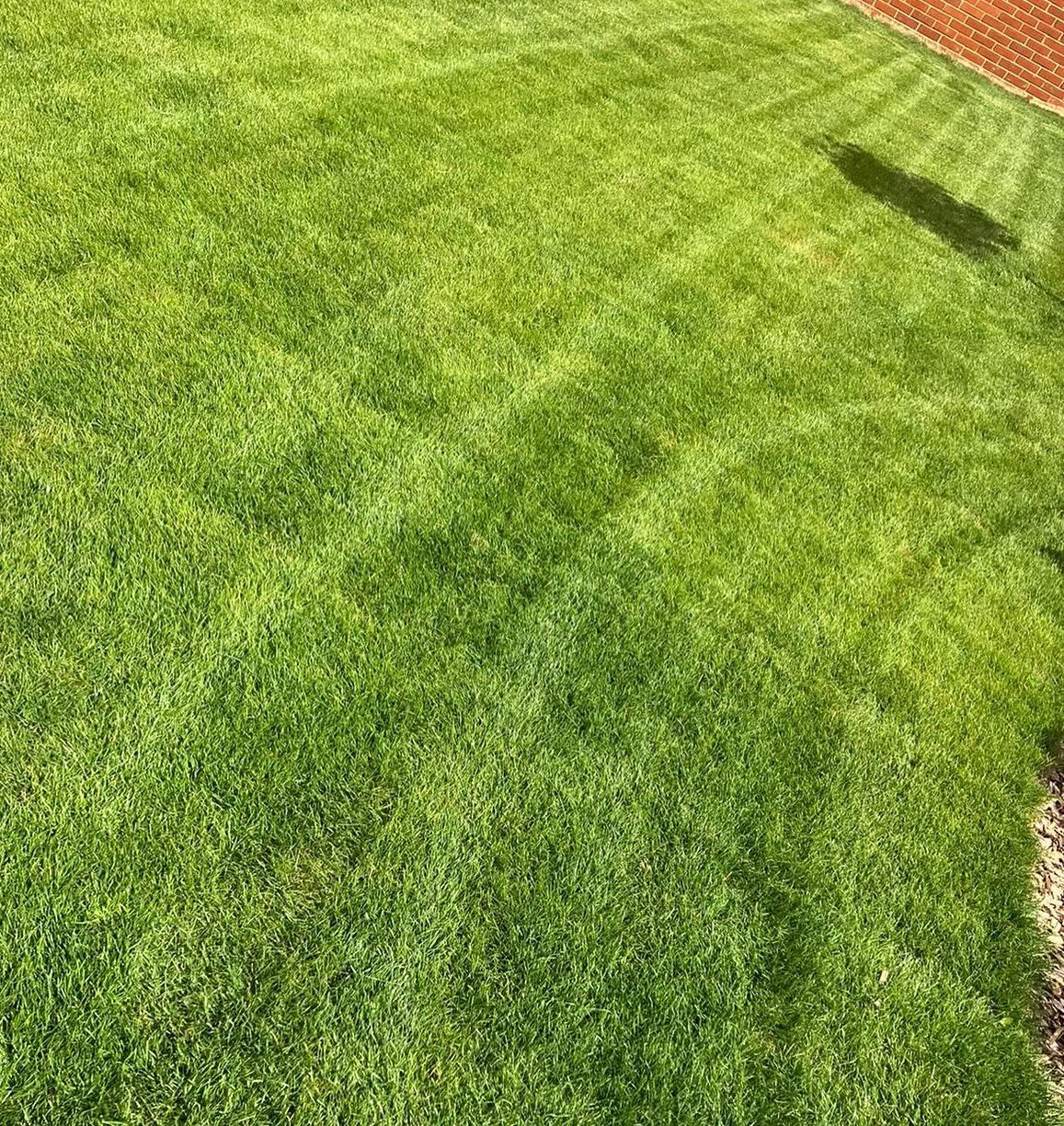 Professional lawn care crew maintaining a residential property in Greater Sudbury