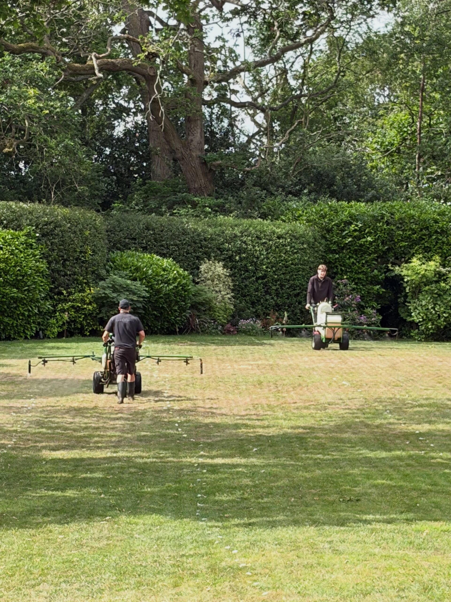 Professional lawn care crew working carefully and thoroughly at a Sudbury Ontario residential property