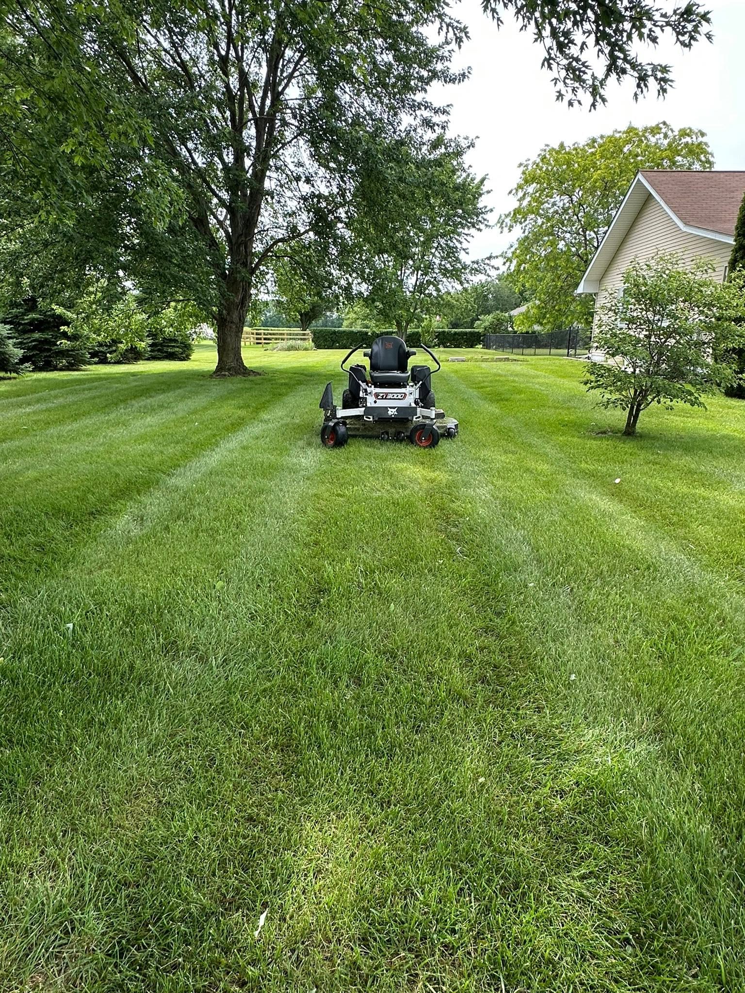Professional lawn mowing service for busy households in Sudbury