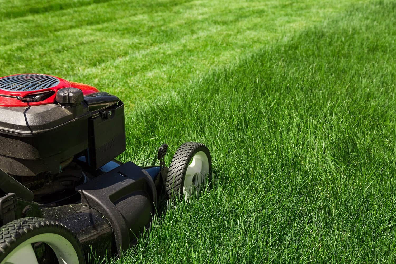 Professional lawn mowing watering management Greater Sudbury Ontario summer months