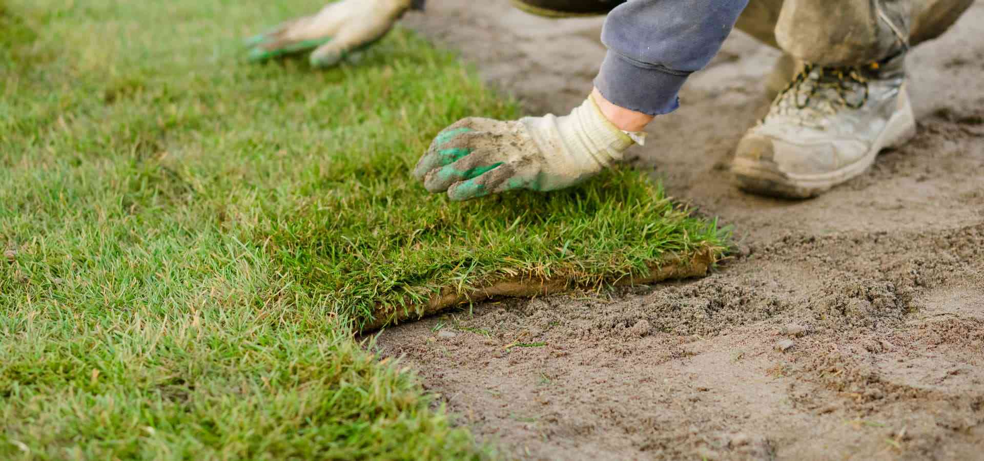 Professional lawn restoration work Sudbury Ontario full day sod installation