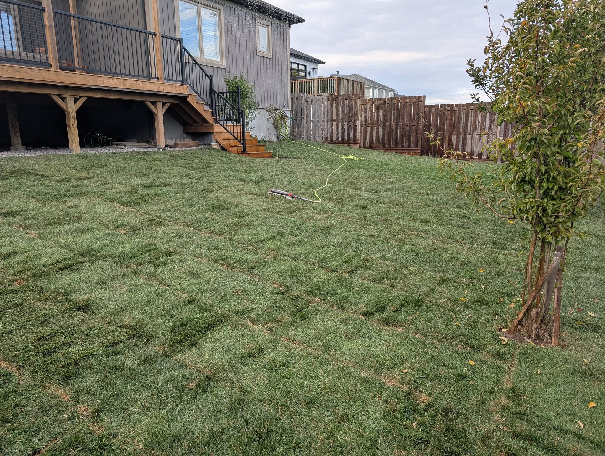 Professional sod installation residential property Ontario soil preparation
