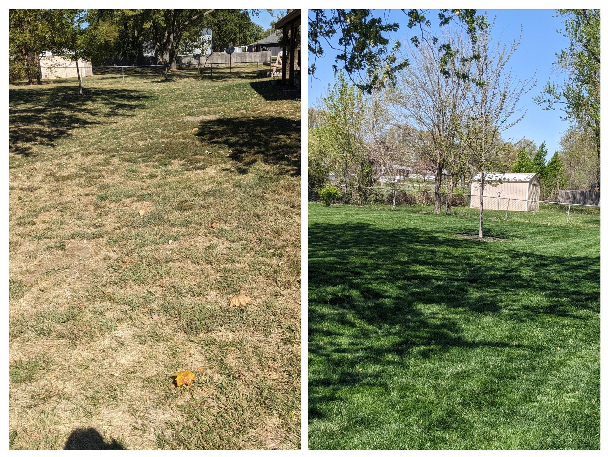 Professional vs cheap lawn mowing quality comparison Sudbury Ontario