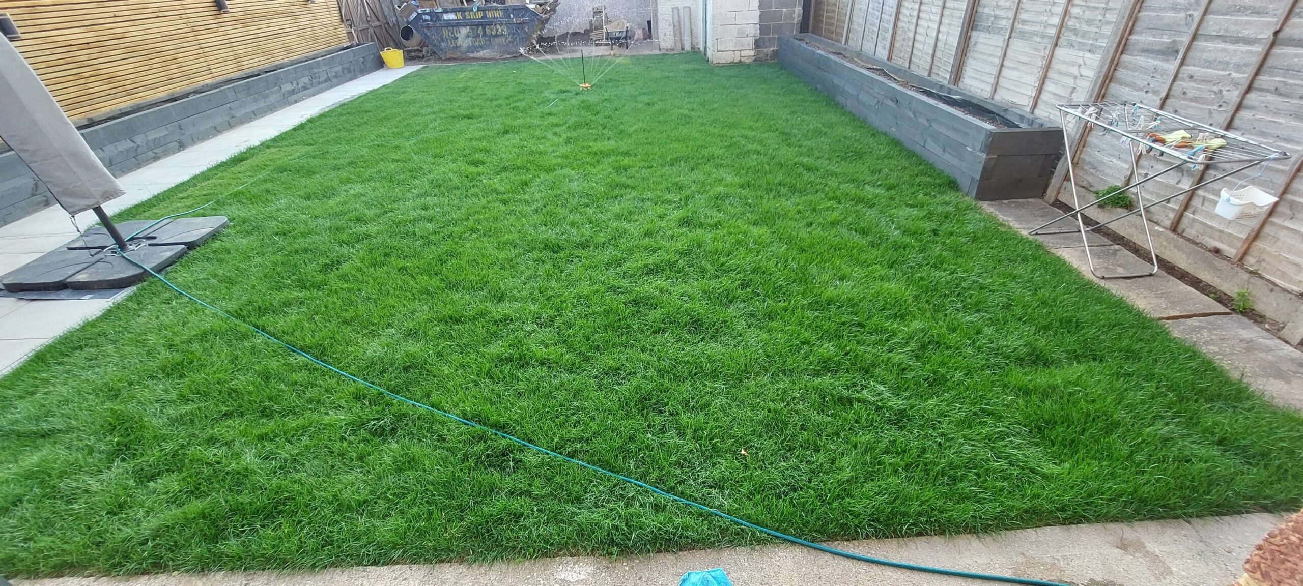 Properly installed sod lawn in Sudbury Ontario with strong root establishment for drought resilience