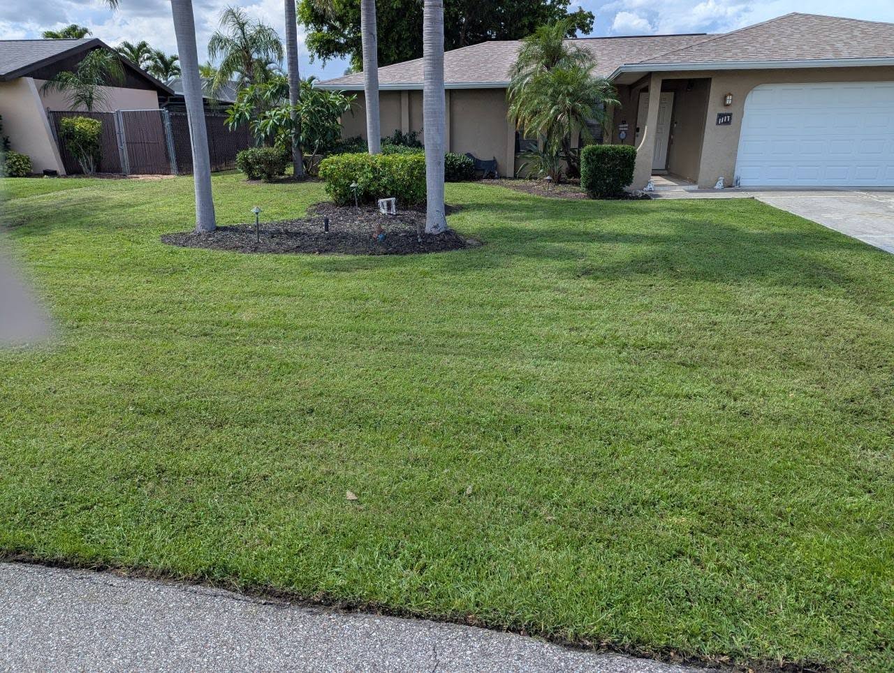 Properly regraded backyard with fixed drainage and healthy lawn in Sudbury Ontario