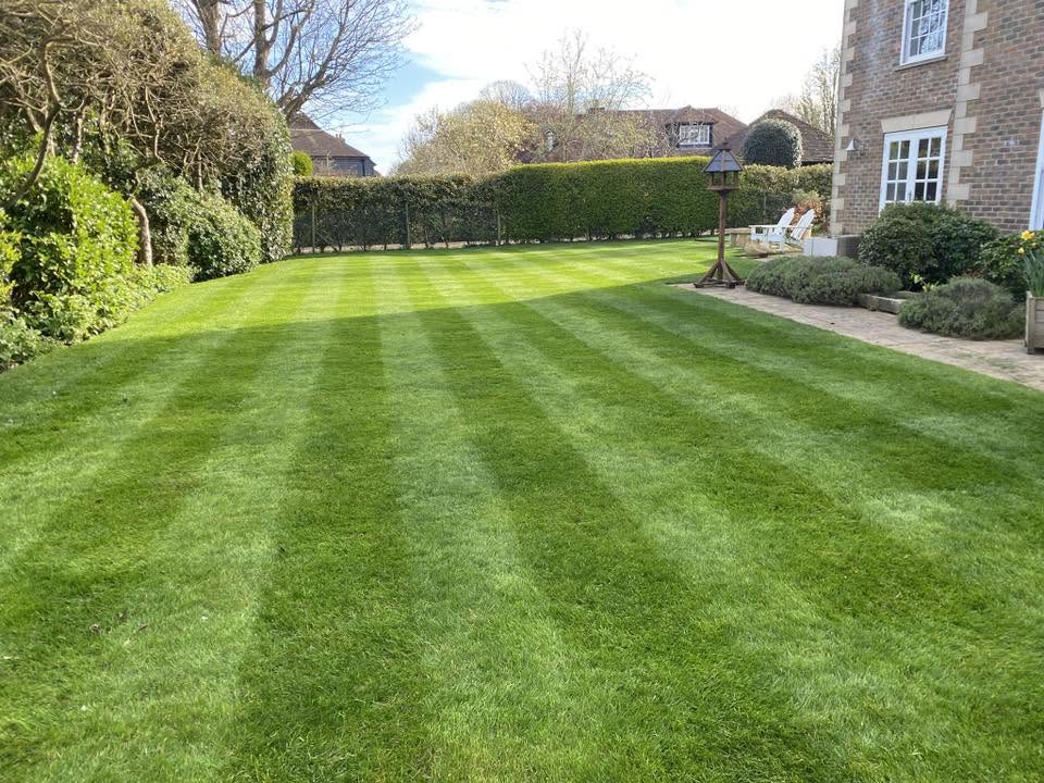Recently changed Sudbury property condition affecting nearby lawn health