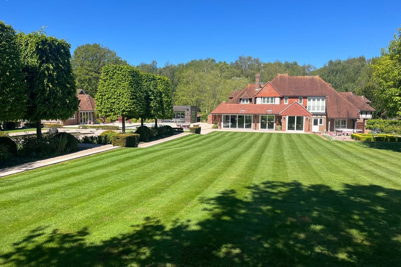 Recovered green lawn after fertilizer burn repair in Sudbury