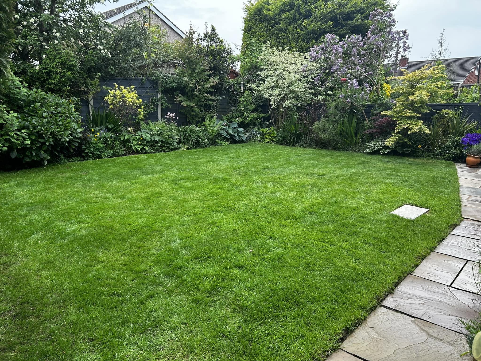Recovered healthy green lawn on Sudbury property after treatment plan