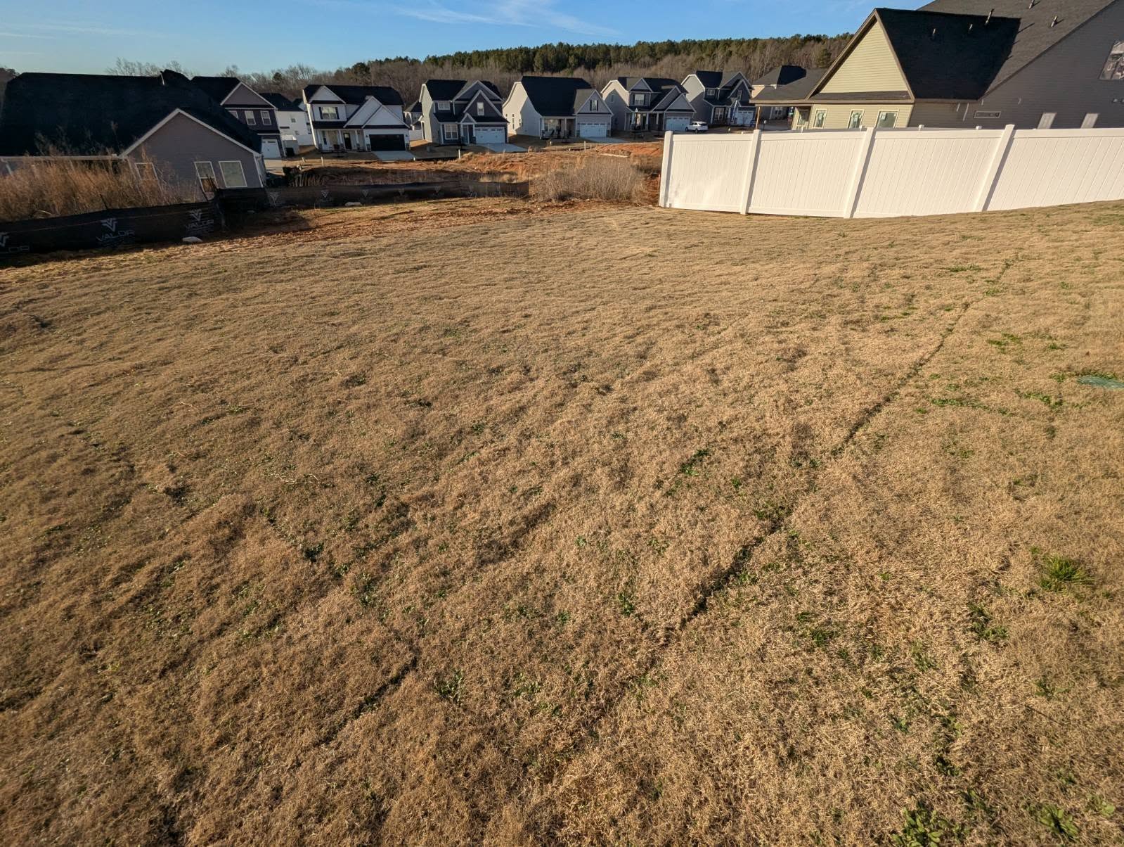 Recovering new sod Sudbury Ontario after missed watering emergency rescue