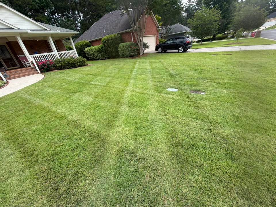 Residential lawn Greater Sudbury Ontario initial assessment before professional management