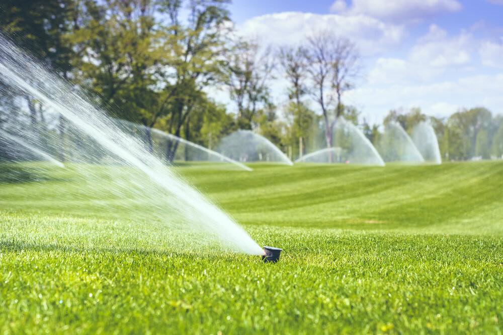 Residential lawn being deep watered in the morning in Garson Sudbury Ontario