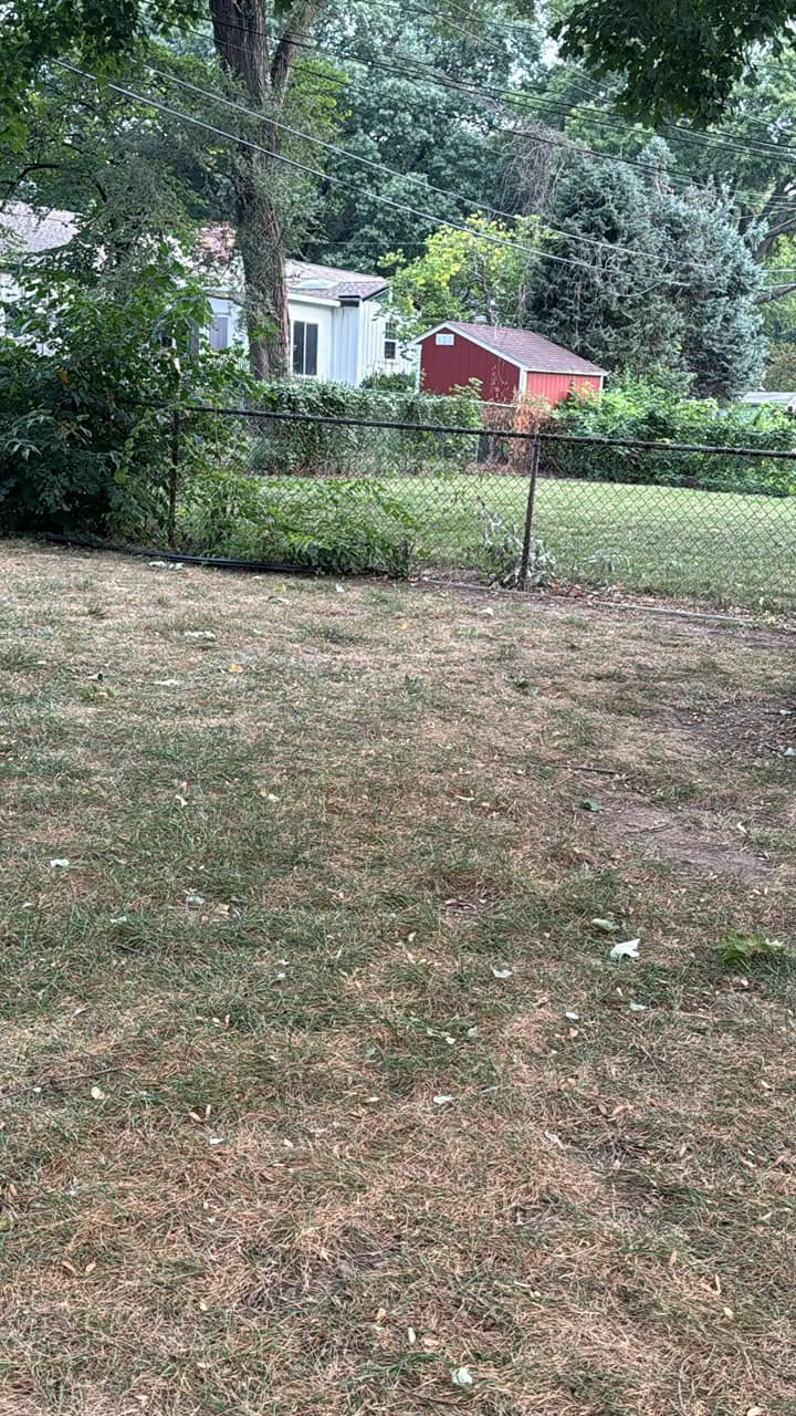 Residential lawn in Sudbury Ontario showing summer condition versus fall appearance for homebuyer
