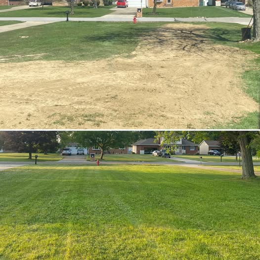 Residential lawn transformation in Greater Sudbury Ontario before and after professional aeration and overseeding